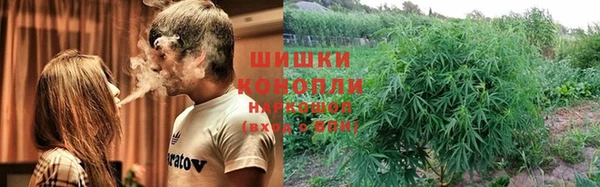 каннабис Ессентукская
