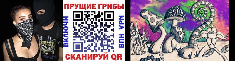 МЕГА ONION  Сычёвка  Псилоцибиновые грибы Psilocybine cubensis  сколько стоит 